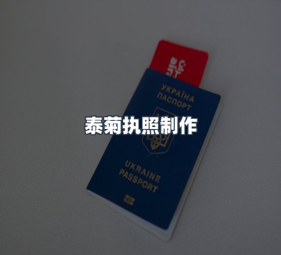 关于泰菊执照制作